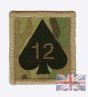 Multicam / MTP 12 Mechanised Brigade TRF