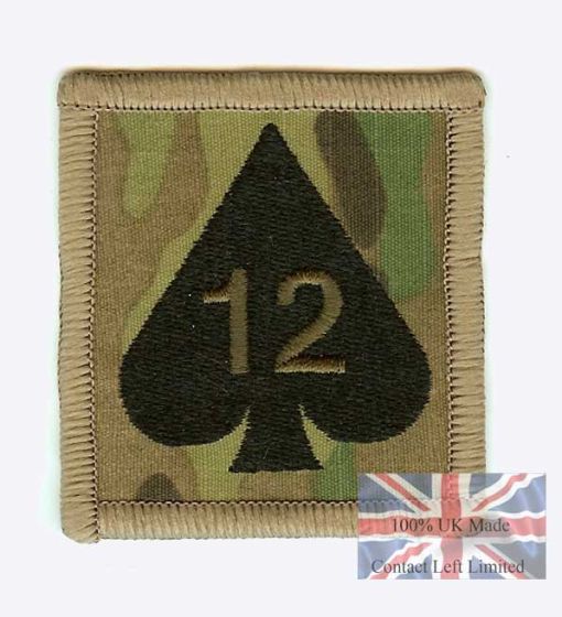 Multicam / MTP 12 Mechanised Brigade TRF