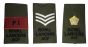 Royal Lancers ACF Army Cadet Force Rank Slides (All Ranks)