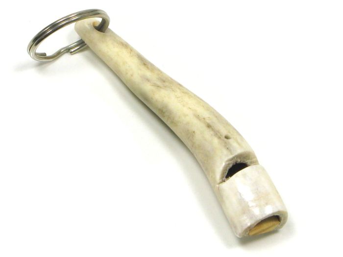 Staghorn Whistle
