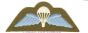 Cloth Colour Para Wings