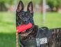 USA-K9 Firecracker Training Dummy
