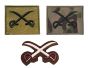 Physical Training Assistant Instructors Badge Qualification