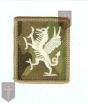 OFFICIAL Multicam MTP Royal Welsh TRF (infantry british army) Hook/sticky backed