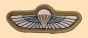 SBS (Special Boat Service) Wings