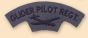 Glider Pilot Regiment Shoulder Titles (pair)
