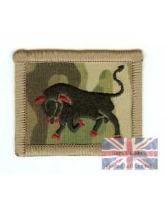 Multicam / MTP 11 Light Brigade TRF