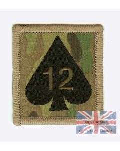 Multicam / MTP 12 Mechanised Brigade TRF