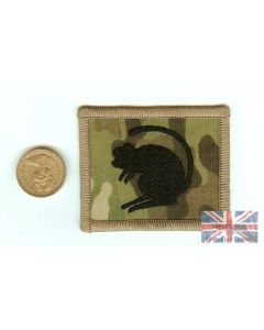 Multicam / MTP 4th Armoured Brigade TRF