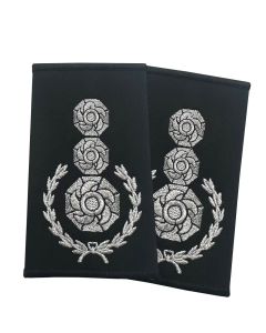 Chief-fire-officer-pair