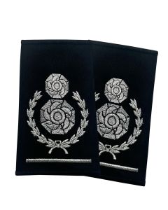 Deputy-Chief-Fire-Officer-Pair
