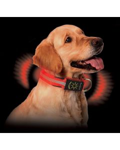 Nite Dawg LED Collar 