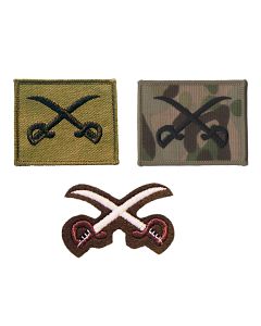 Physical Training Assistant Instructors Badge Qualification