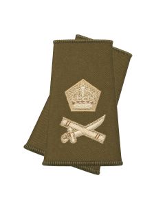 REME-lieutenant-general-rank-slide-pair