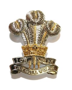 Issue Royal Welsh Beret Badge