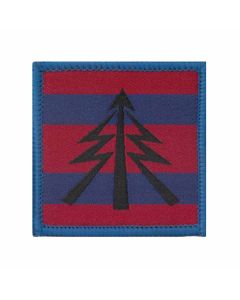 royal-engineers-recce-trf-with-royal-engineers-colours