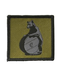 10 Signal Regiment TRF