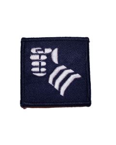 20th Armoured Infantry Brigade - TRF - Badge 