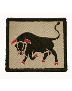 11th Infantry Brigade and Headquarters South East TRF