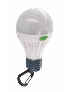 Bulb 1 Watt LED Light