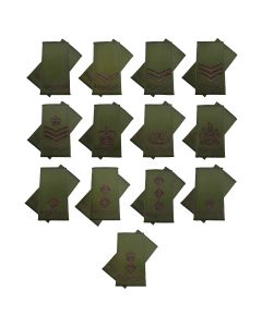 mercian-regiment-rank-slides-private-to-lieutenant-colonel