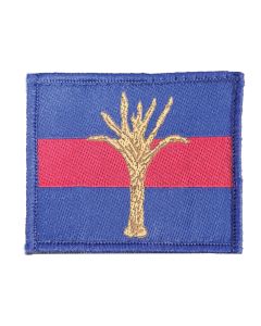 British Army Welsh Guards Patch – Morale ID Recognition Flash (Hook & Loop)
