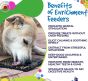 sodapup-lick-may-flyer-of-benefits