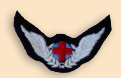RAF Medical Technician's Wings