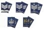 Pair RAFAC NCO SNCO WO Rank Slides KINGS CROWN 