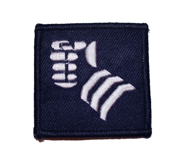 20th Armoured Infantry Brigade - TRF - Badge 
