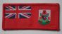 Bermuda Regiment Tactical Recognition Flash