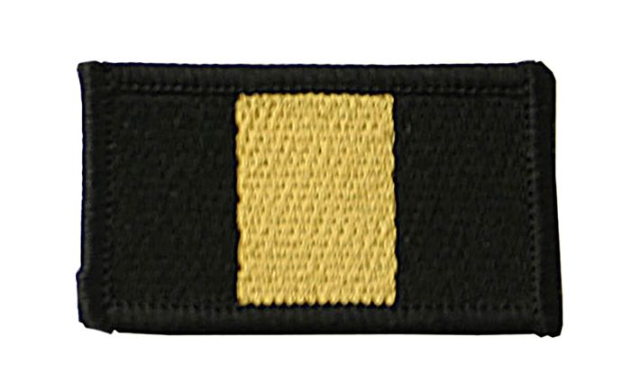2nd Battalion Royal Anglian Regiment Tactical Recognition Flash
