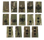 black-on-mtp-ACF-rank-slides-displaying-all-ranks