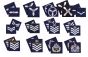 Pair Royal Air Force Blue Rank Slides - RAF - (All Ranks) Pair