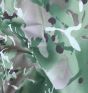 ereibis-camouflage