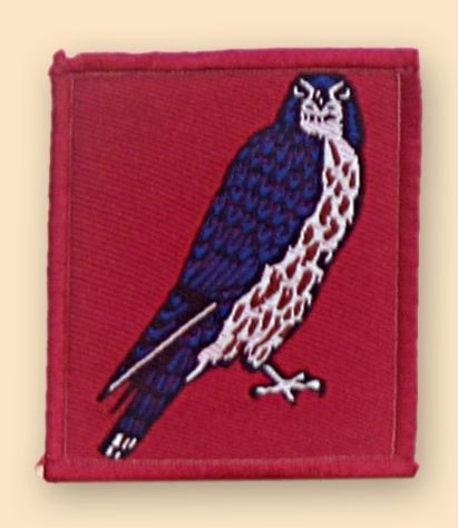 15 NE Brigade TRF