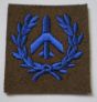 Aircraft Spotters, Class 1. Light Air Defence Regiments