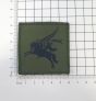 16-air-assault-pegasus-subdued-ruler