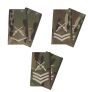 PAIR Ivory on MTP Crossed Rifles Rank Slides 