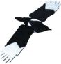 Jack Pyke Flying Magpie Decoy