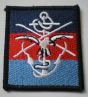 Compulsory Drug Testing Team (CDTT) Arm Badge