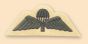 Light Infantry Cloth Para Wings
