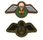 Army Parachute Jump Instructor APJI Wings