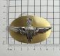 Parachute Regiment Kings Crown Issue Cap / Beret Badge