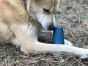 Industrial Dog Wire Nut Chew Toy And Treat Dispenser