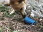 Industrial Dog Wire Nut Chew Toy And Treat Dispenser