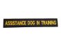 Assistance-dog-in-training