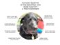 Industrial-dog-chew-bone-dog-toy