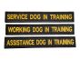 Dog-in-training-patches