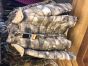 Snugpak Ebony Jacket/Coat ® ATACS - Arid Urban (AU) 